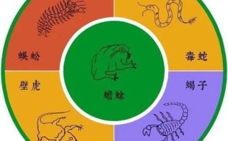 非物质文化遗产五毒八毒（五毒八毒是哪几种毒药）