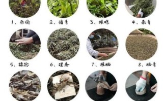 普洱茶非物质文化遗产（普洱生茶非遗制作工艺流程详解）
