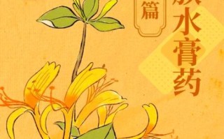 非物质文化遗产 草药（非物质文化遗产草药有哪些）