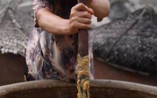 腌制菜非物质文化遗产（腌制菜非遗传承教程）