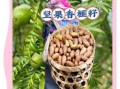 琴溪非物质文化遗产（琴溪香榧非遗制作方法新手完整教程）