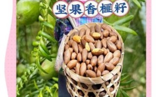 琴溪非物质文化遗产（琴溪香榧非遗制作方法新手完整教程）