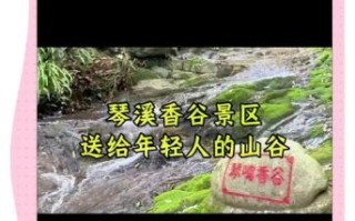 琴溪非物质文化遗产介绍（琴溪非遗介绍及旅行体验攻略）