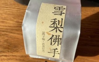 雪梨非物质文化遗产（雪梨非遗体验一日游攻略）