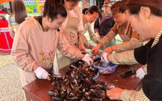 嵊泗非物质文化遗产（嵊泗非遗有哪些值得一看？）