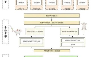 中国量子计算机技术路线(中国量子计算机技术路线怎么选?三大主流方案对比) 中国量子计算机技术路线(中国量子计算机技术路线怎么选?三大主流方案对比)