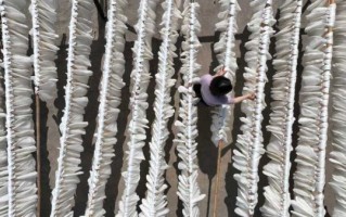 非物质文化遗产蚕茧（蚕茧制作蚕丝被全过程手工教学）