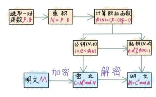 量子计算机技术路径（量子计算技术选哪条路线最靠谱）