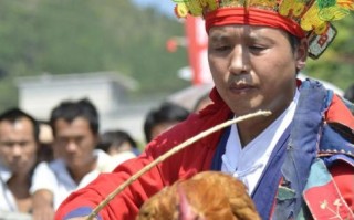 定鸡术非物质文化遗产（定鸡术是非遗骗局吗）