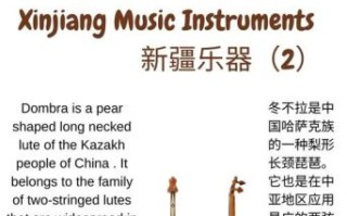 非物质文化遗产维语（维吾尔木卡姆非遗传承入门）