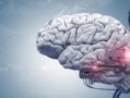 量子计算机技术创造人脑（量子计算机模拟人脑能成真吗）
