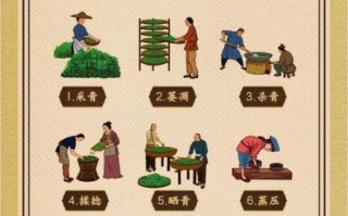 茶艺非物质文化遗产介绍