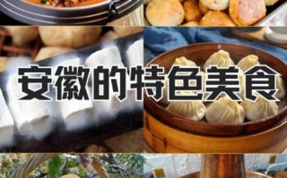 安徽省非物质文化遗产（安徽省非遗小吃怎么学最正宗）