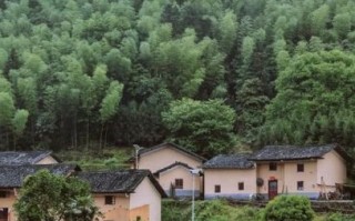 茶陵桃坑非物质文化遗产（茶陵桃坑非遗有哪些项目值得看）