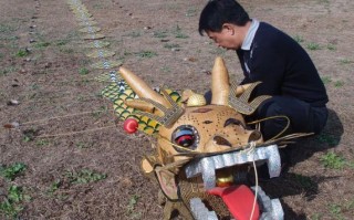 非物质文化遗产龙文化（龙形风筝是非遗吗）