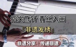 温州非物质文化遗产发绣（温州发绣初学者入门教程）