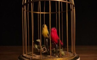 瑞士的非物质文化遗产是（瑞士非物质文化遗产有哪些）