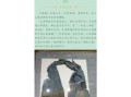南昌非物质文化遗产官网（南昌非遗官网怎么查名单）