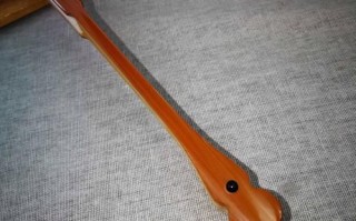 折扇  非物质文化遗产（折扇制作技艺是国家级非物质文化遗产吗）