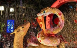 非物质文化遗产蛇是什么（蛇舞是哪一种非遗项目？）