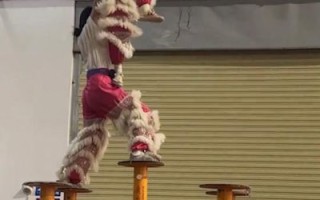 夏津非物质文化遗产遗产（夏津火狮舞非遗怎么学？零基础也能上手）