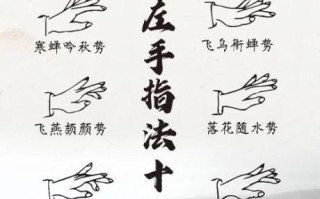 非物质文化遗产古琴（零基础入门古琴技法全攻略）