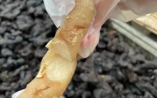 非物质文化遗产黄精（黄精非遗做法到底怎么炮制？）