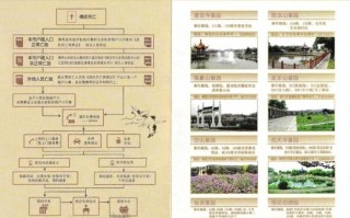 南京非物质文化遗产保护（南京非遗保护申请流程全攻略）