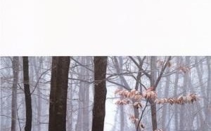 非物质文化遗产杂志官网（非物质文化遗产杂志官网入口在哪查）