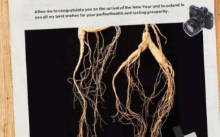 沂水非物质文化遗产人参（沂水人参制作技艺全流程揭秘）