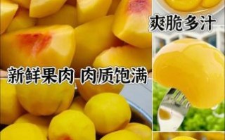 非物质文化遗产罐头（非物质文化遗产罐头有哪些品牌）