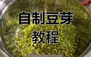 非物质文化遗产豆芽（非物质文化遗产豆芽的传统工艺怎么申请）