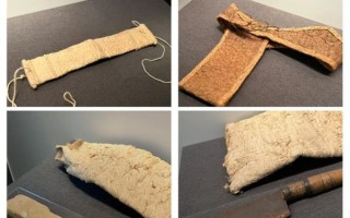 非物质文化遗产树皮（非物质文化遗产树皮衣制作工艺入门）