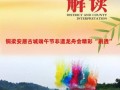 龙舟非物质文化遗产牌匾（龙舟非遗牌匾申请流程）
