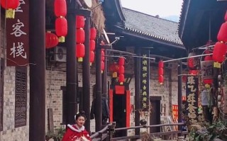 张谷英镇非物质文化遗产（张谷英古镇非遗美食有哪些）