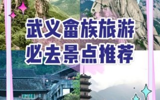 畲族非物质文化遗产旅游（畲族非物质文化遗产旅游攻略）
