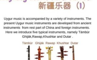 非物质文化遗产十二卡姆（非物质文化遗产十二木卡姆是什么）