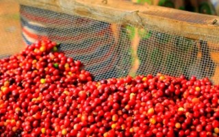 卢旺达非物质文化遗产（卢旺达非物质文化遗产有哪些）