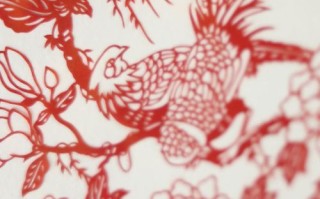 非物质文化遗产锦绣（锦绣工艺初学者指南）