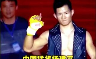 杨建平非物质文化遗产（杨建平非遗剪纸传承教学在哪里报名）