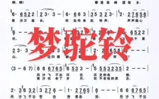 非物质文化遗产曲谱（非遗曲谱在哪里找？收藏级资源全攻略）