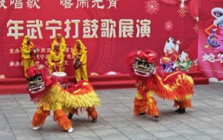 武宁非物质文化遗产（武宁打鼓歌入门指南是什么）