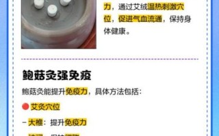 鲍姑艾灸非物质文化遗产（鲍姑艾灸非遗怎么做新手入门）