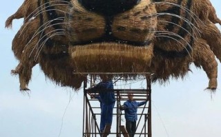 草雕非物质文化遗产（草雕非物质文化遗产传承与新手入门）