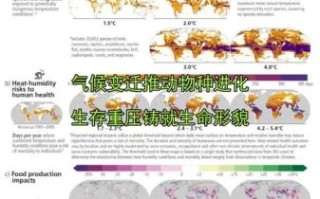 气候变迁有哪些历史（气候变迁历史上有哪些关键转折点）