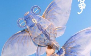 非物质文化遗产风筝（非物质文化遗产风筝怎么做手工活）