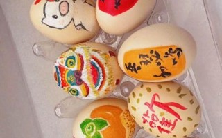 非物质文化遗产 蛋（非遗鸡蛋画初学者入门教程）