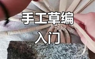 非物质文化遗产草编自述（如何入门草编技艺？非遗传承人手把手教学）