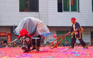 非物质文化遗产舞牛图片（非物质文化遗产舞牛图片在哪看？）