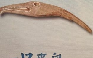 骨非物质文化遗产（骨雕非遗技艺怎么学从哪里入门）